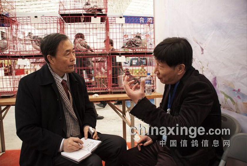 一羽苍白打天下——兆尊馆胡维奇