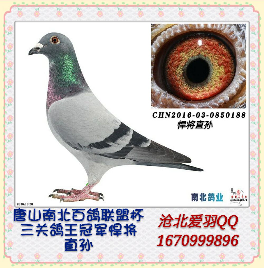20170301052334.jpg