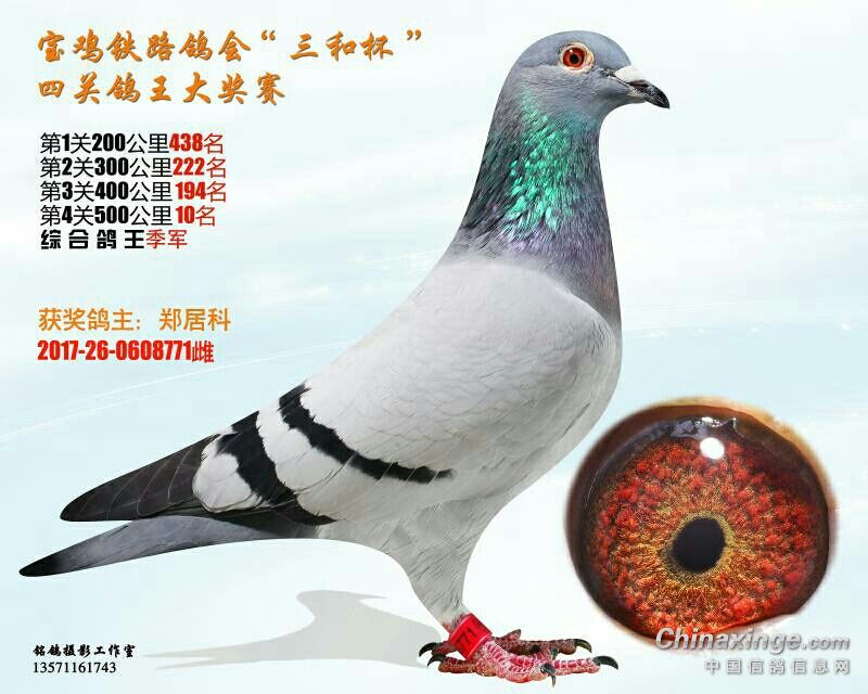 ´ڞg[DƬ