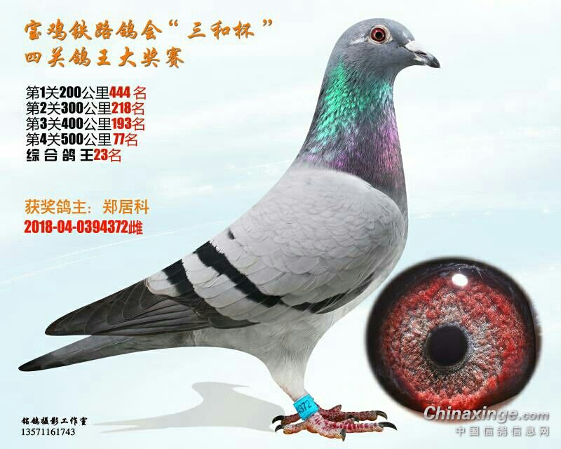´ڞg[DƬ