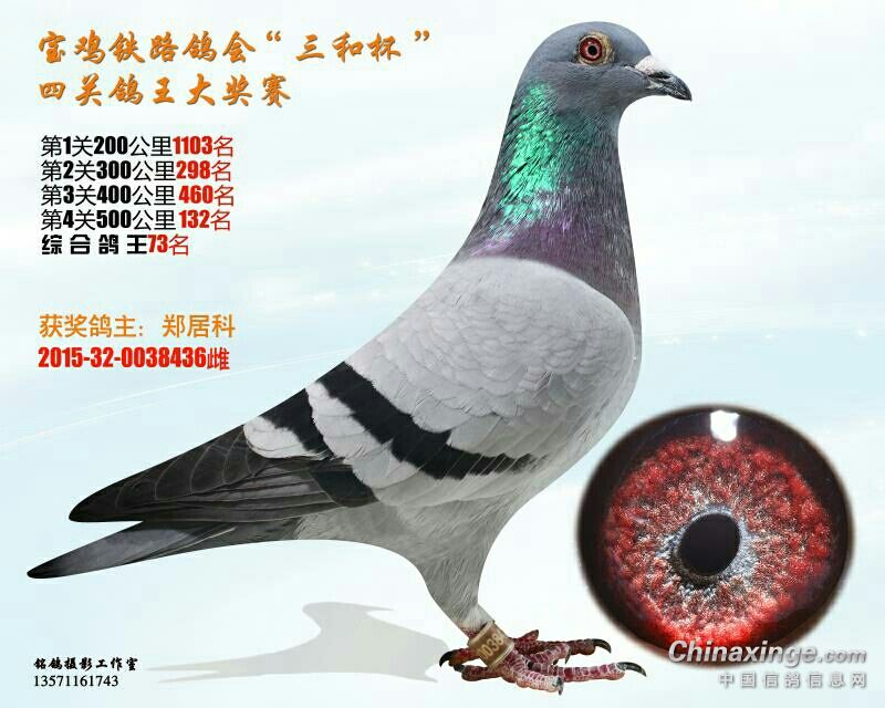 ´ڞg[DƬ