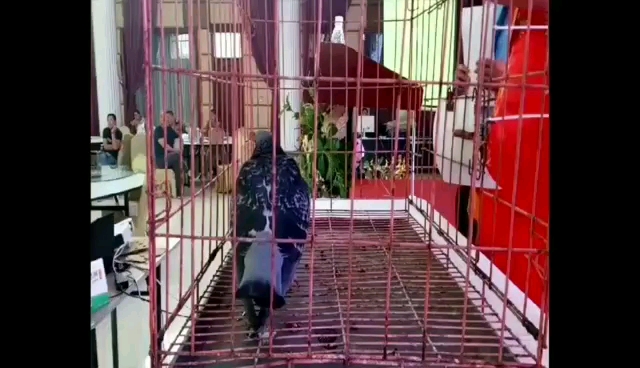 ������������������һ��һ