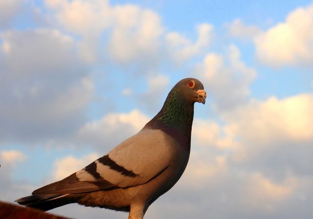 ���Ǻø�����ס �����ҵ������ھ�