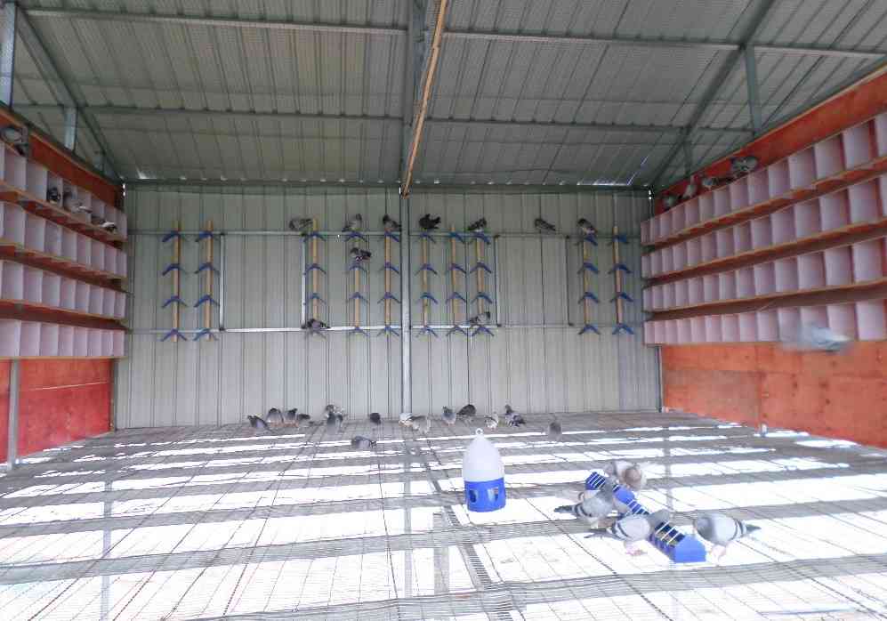 ���շ������ǰ�������