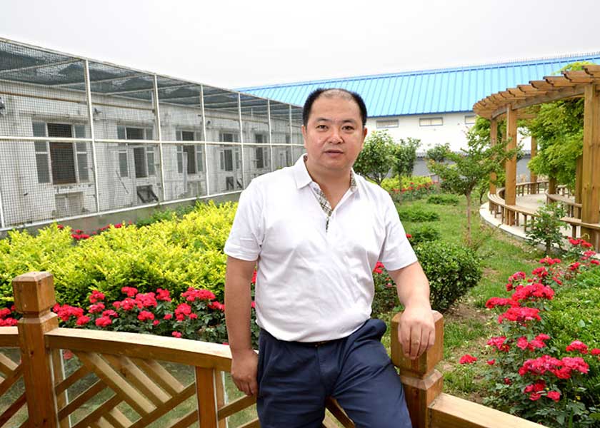 世界级大手笔:第一名血宝库长城鸽业(图)