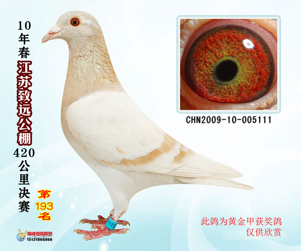 黄金甲黄金代表富贵,甲为天干之首.